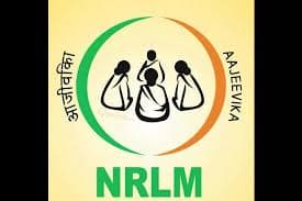 Partner organization 12